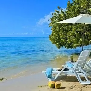 Champagne , Whitehouse Jamaica